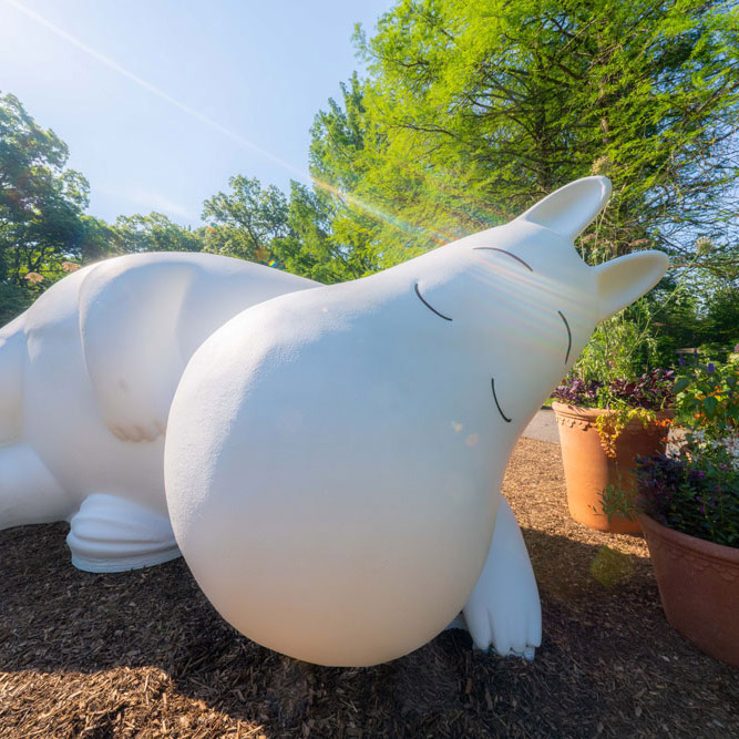 Summer of Moomin